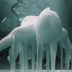 Illustration for article titled Ghost in the Shell animation intro turned into live action
